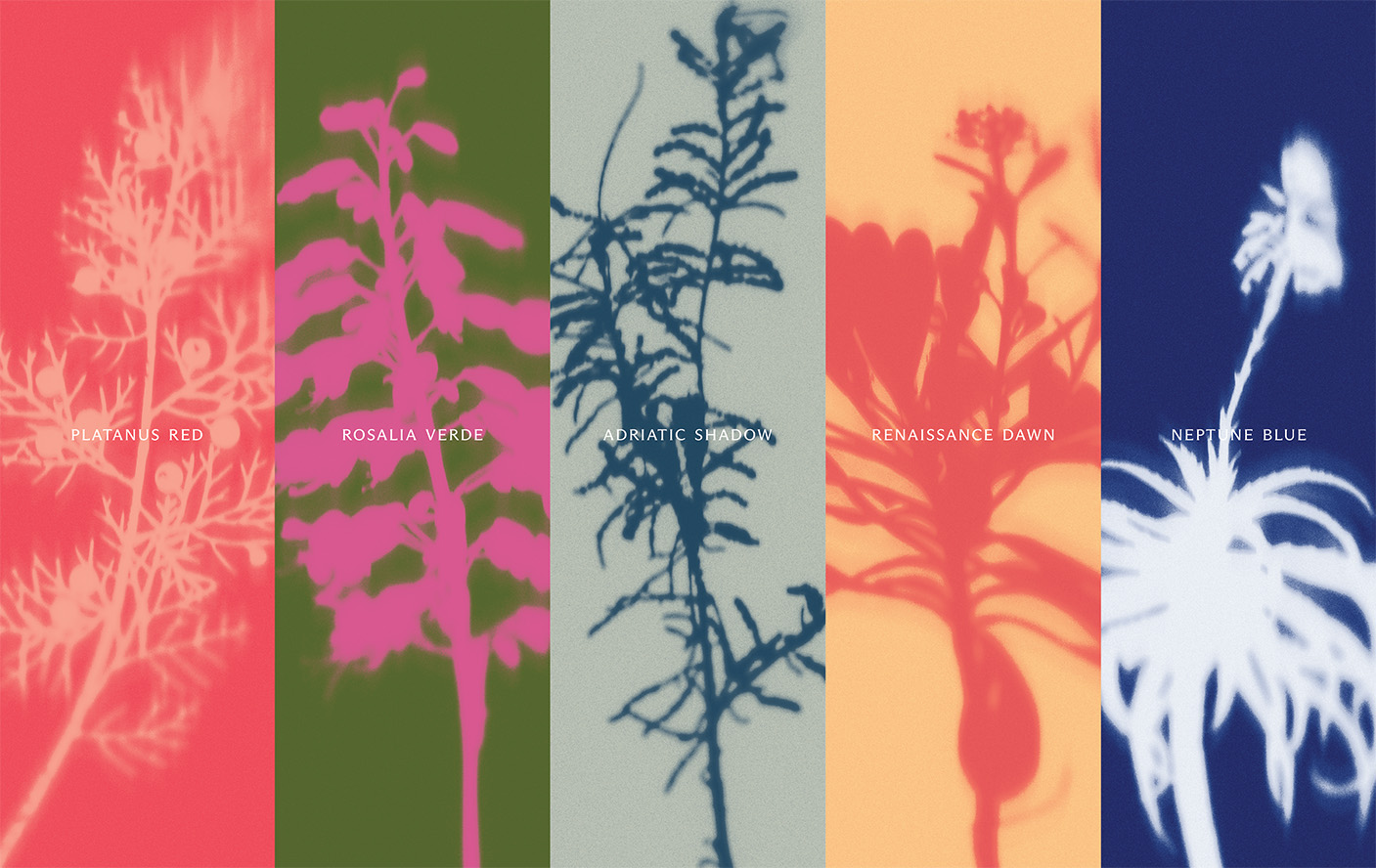 Arboretum Trsteno