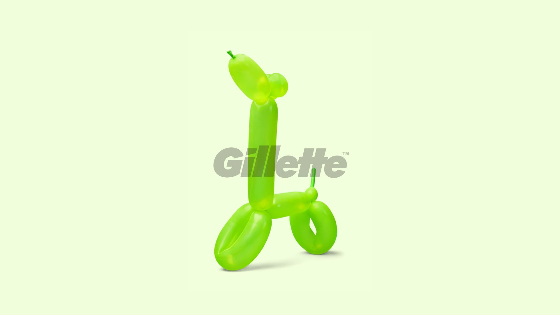 gillette žileti